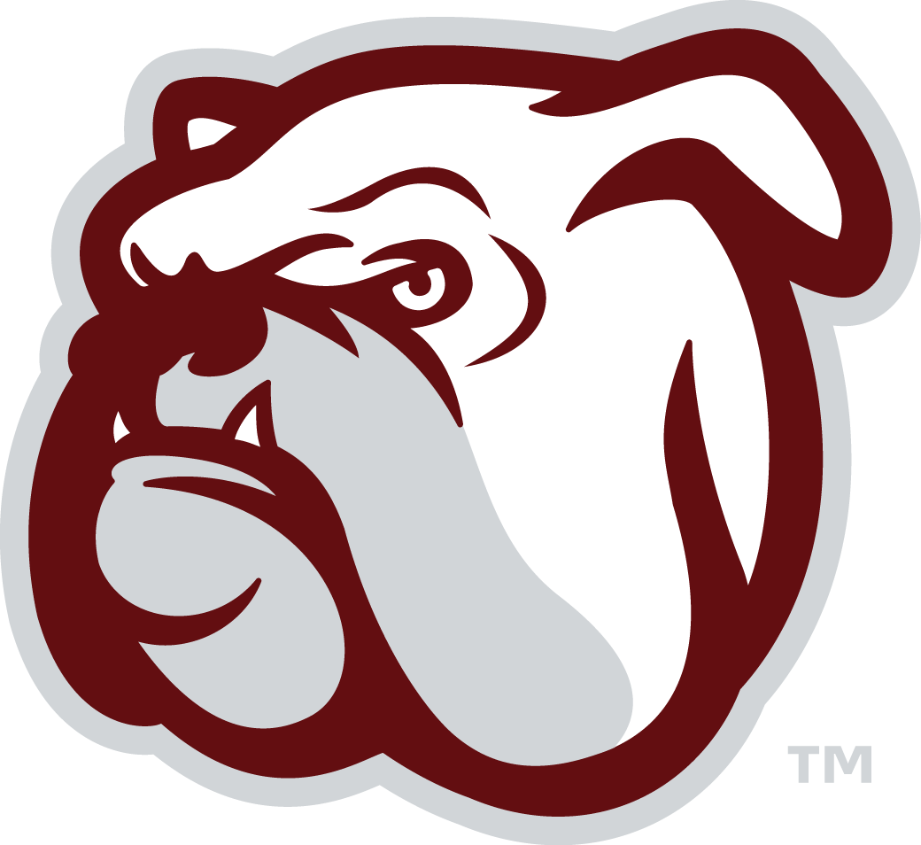 Mississippi State Bulldogs 2009-Pres Alternate Logo 05 iron on paper